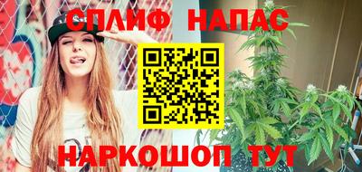 крисы Ставрополь